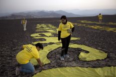 Greenpeace 03